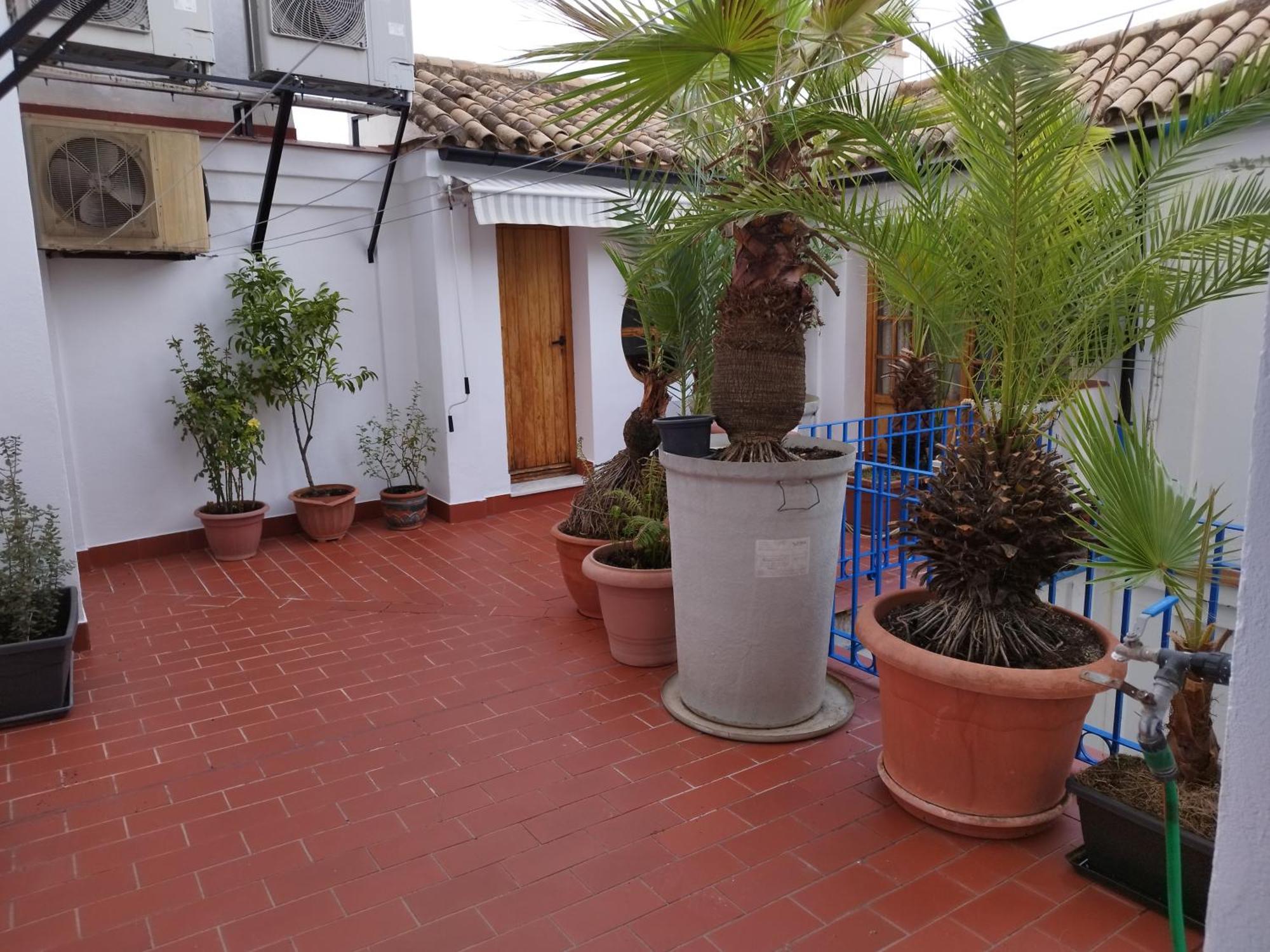 Patio De La Escalera Villa Cordoba Ngoại thất bức ảnh